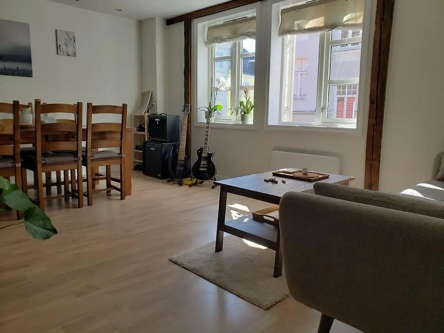 Cosy, Modern Townhouse In Bergen Sentrum 挪威