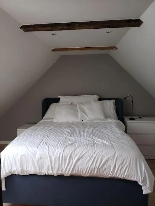 Cosy, Modern Townhouse In Bergen Sentrum 挪威
